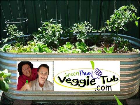 Photo: Greenthumb Veggie Tub
